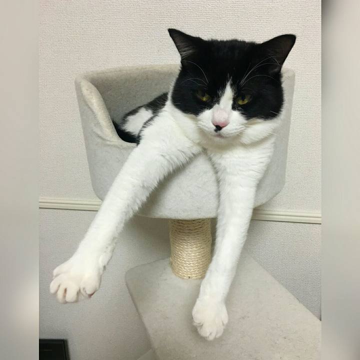 65b56f14 660d 4636 bbc2 def91feeed61