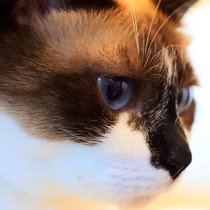 65b57beb 9b24 4782 9743 86057adb64ff