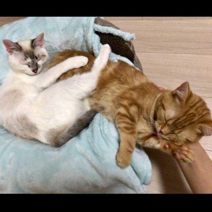 65b5c407 ccb7 48c7 8f55 d66fb456408e