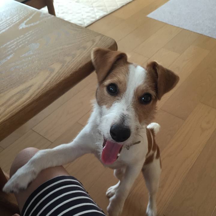 65b60b20 54c6 4bff b0fb 5de173e2725a