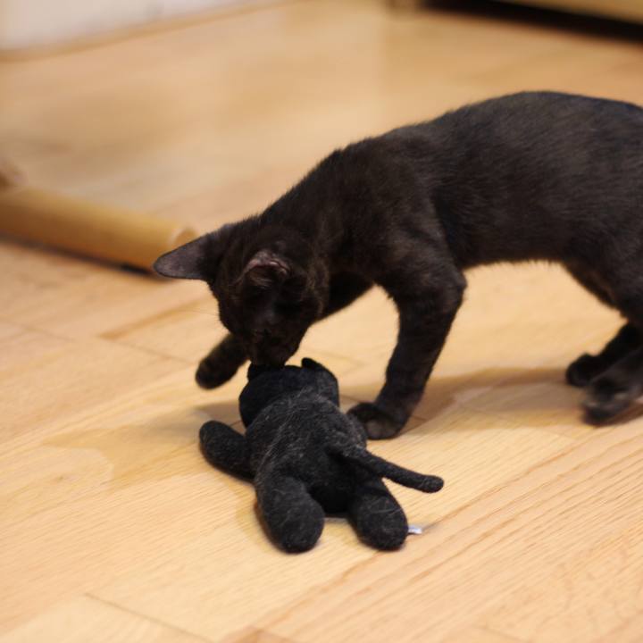 65b61713 7c18 4b8b 9508 541792acde79