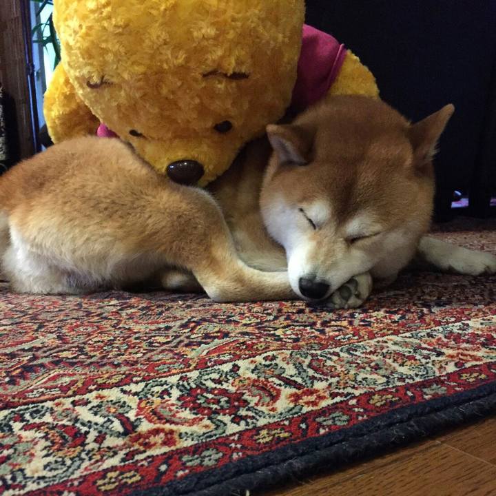 65b63592 4c22 4c3d affb 3e708901ea8d