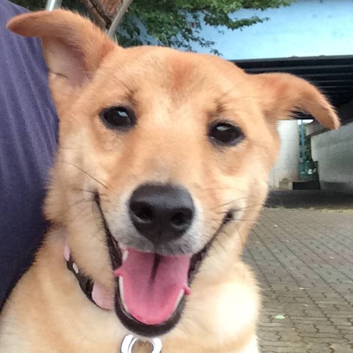 65b64244 c719 453c 8754 e68fbd0c491d