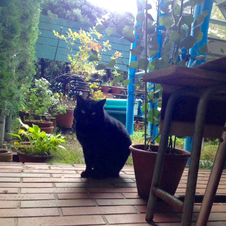 65b677a1 2879 4d03 a356 7e4668814cf6