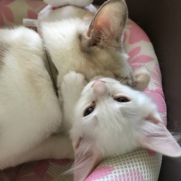 65b6a1d2 4e0d 4691 bfec 3f1c9036ba59