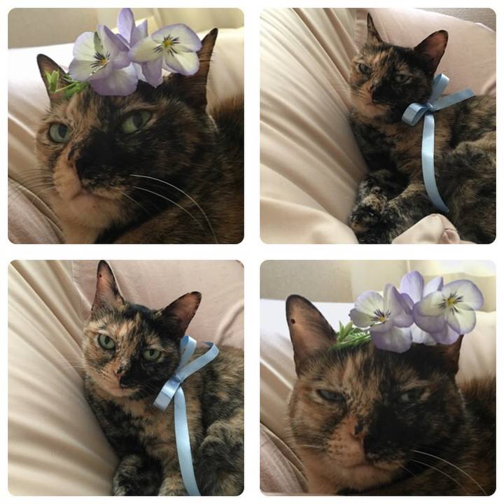 65b701f0 b3f3 401d 8a9d 5babb8099fa3