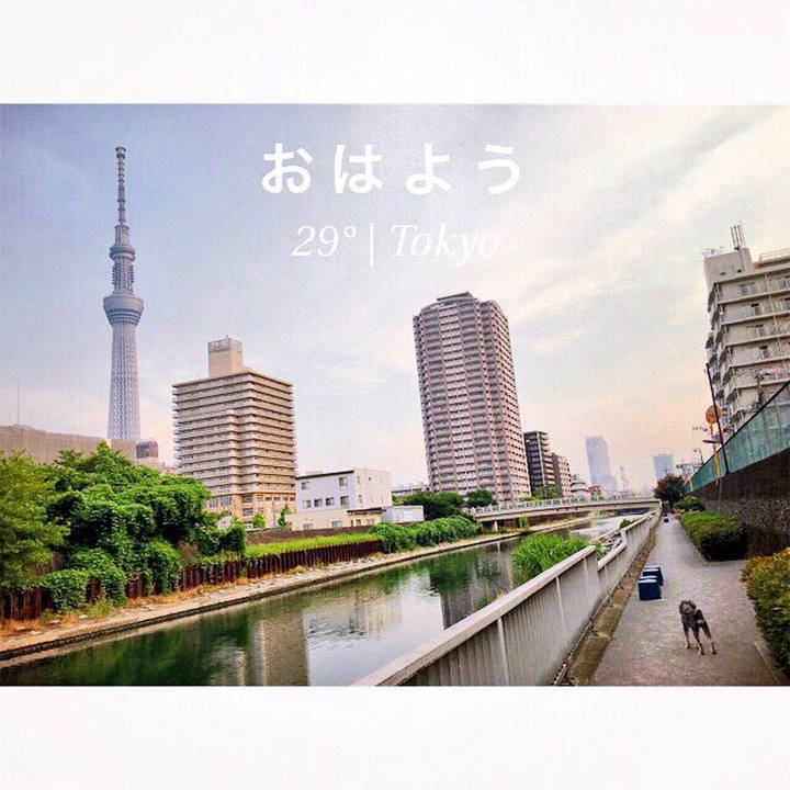 65b7abb9 fa92 4e97 b7f4 454e75a328de