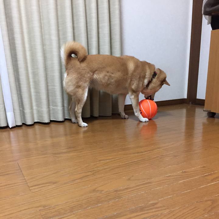 65b7ec4a cd33 4dc2 9979 ba045f372c02