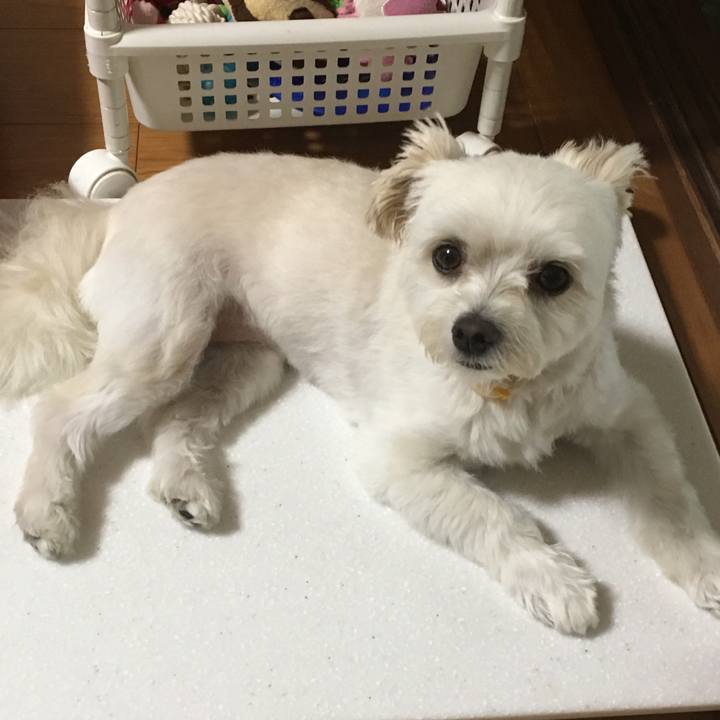 65b87f2d 1167 4115 9800 aef97ded037f