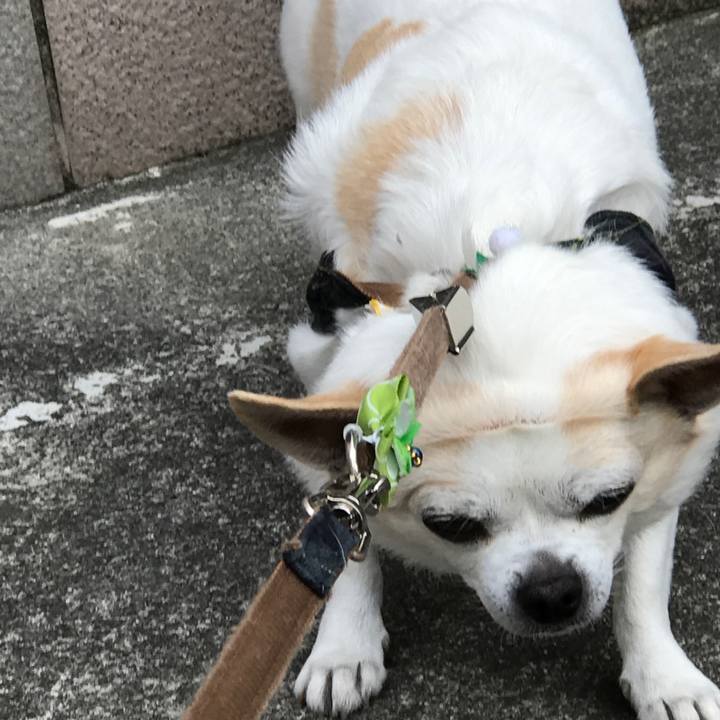 65b88756 8402 4af8 9f22 aedcb4f1715e