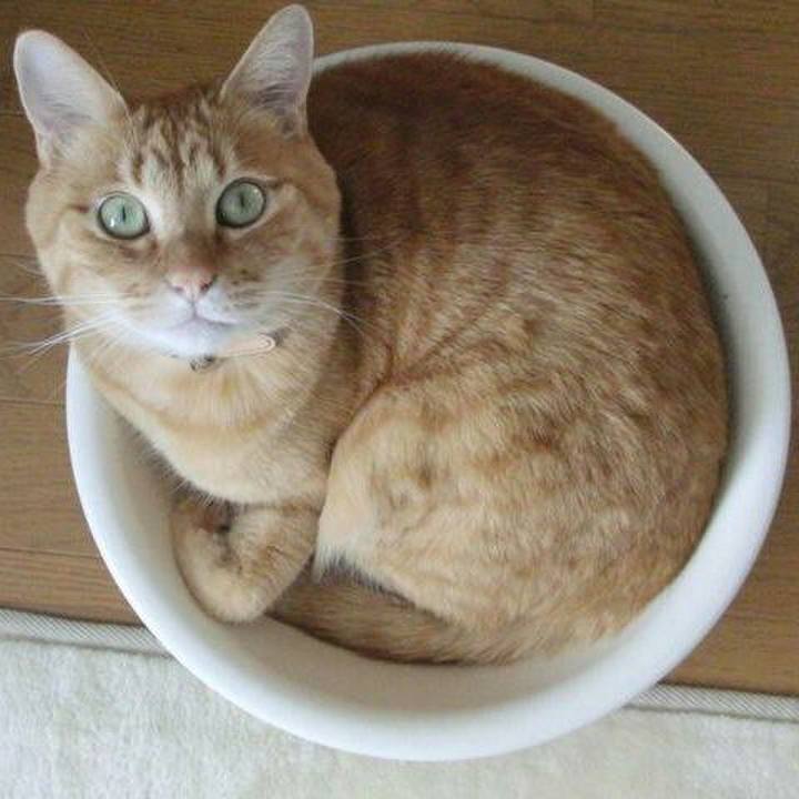 65b8cf44 3f3f 4a6b bc21 561b69d6777a