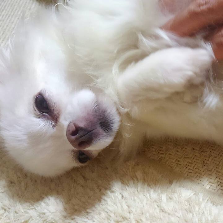 65b902be 387f 4efa 946c 46c55d9c1f71