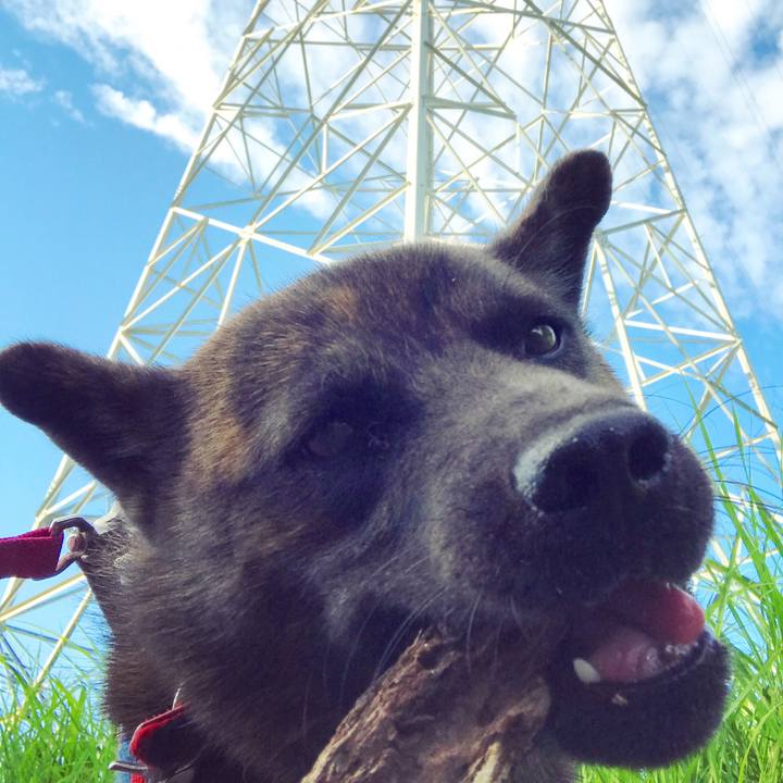 65b986e6 89ad 40c9 8535 e8ae4c67593a