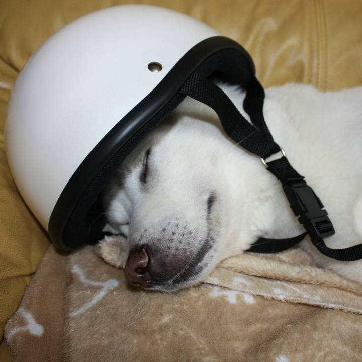 65b9948c 7c89 42dd 8b96 9ebf571c08ae