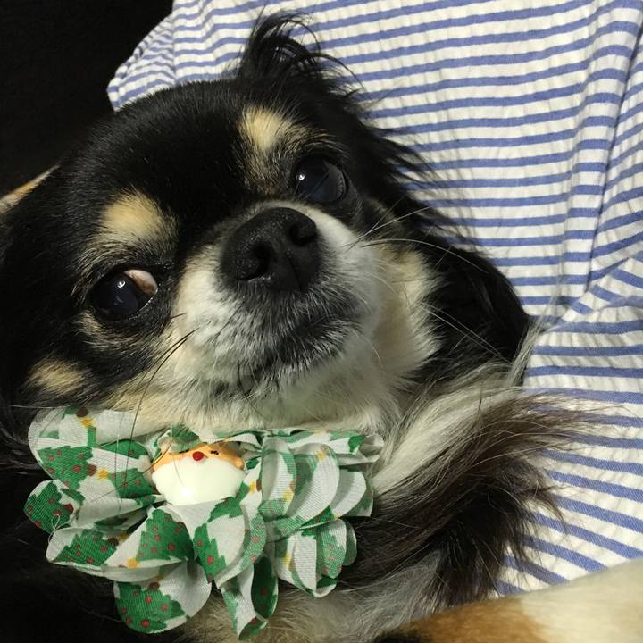 65b9c4af 53c2 49a6 a4a9 4bcf223af867