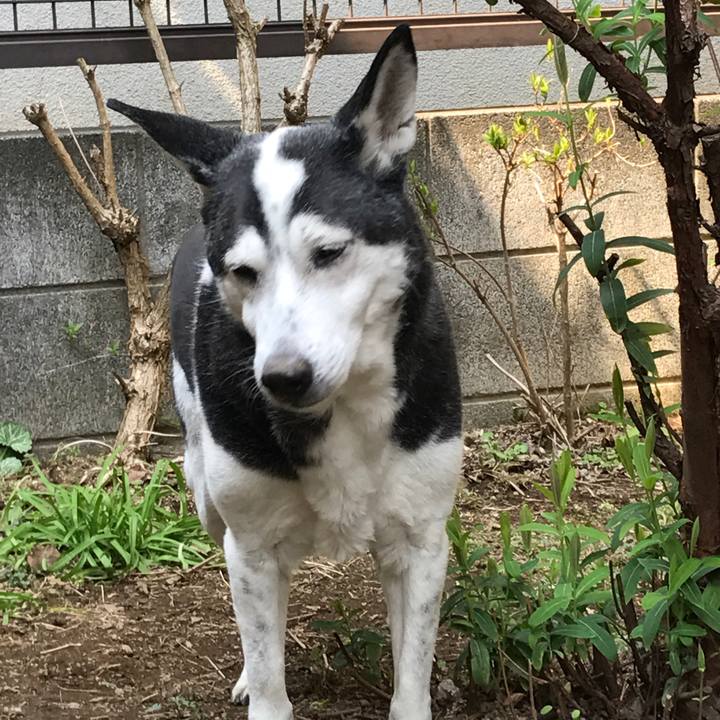 65ba52e5 65b1 4241 9d64 fd797aa0ade6