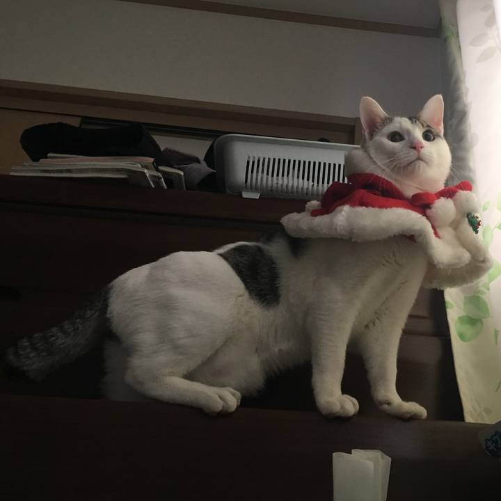 65ba5445 bca0 4097 9093 341b48e37b72