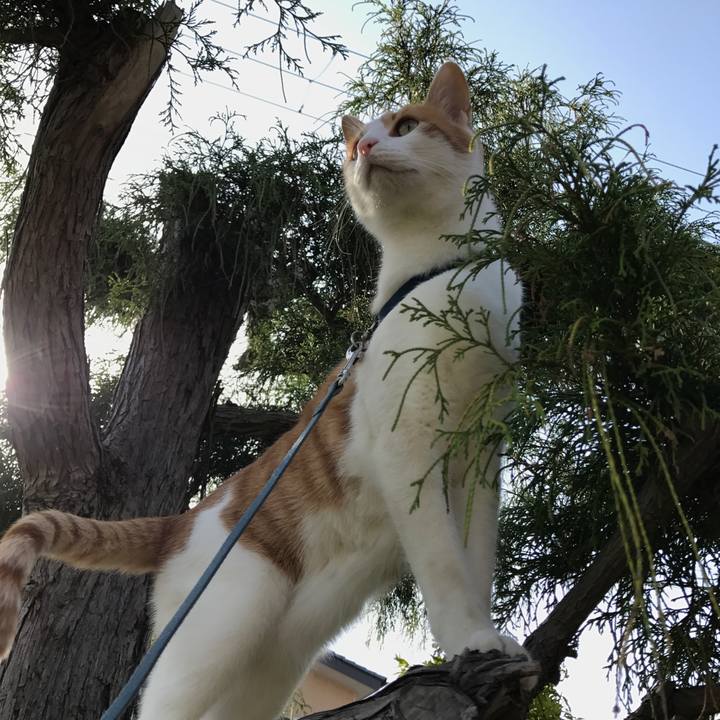 65ba7009 ffa0 431e bece 43c42629f995