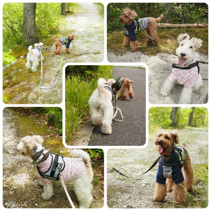 65ba9789 a9c1 4517 a423 2f27ad675a18