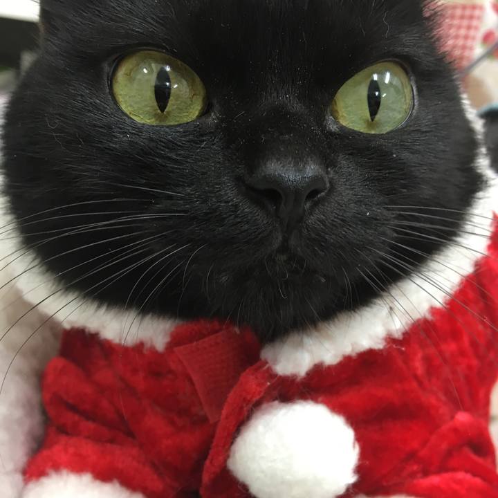 65baa4aa c893 41fd b25c cea8deff7fbe