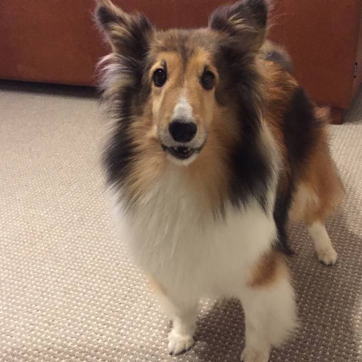 65baadaa c10e 4bf6 bacc 827cce621ce1