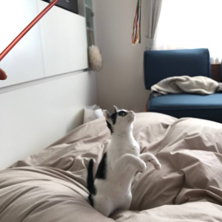 65bb090d b0b8 4695 9ead 1bdf807d68c4