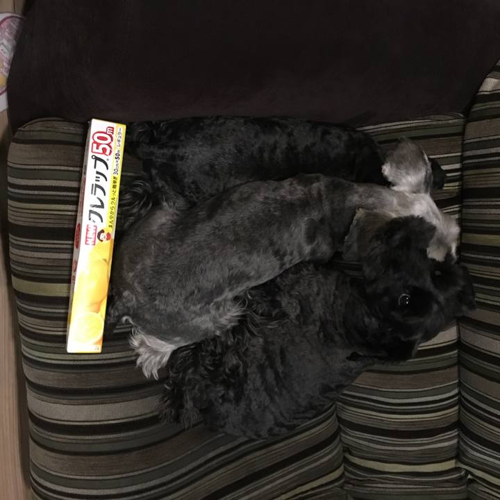 65bb646e b4ef 4dd7 a3ff f1b7d909d6e9