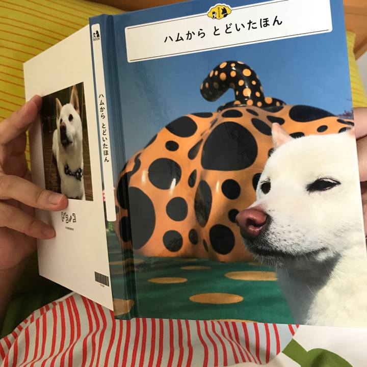 65bb7c0e 30d3 4246 abcd 7751246fc8b0