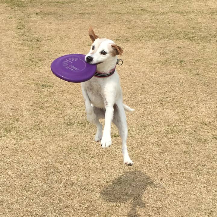 65bbe3b3 a0fb 4a5a bcb1 135041dc911b