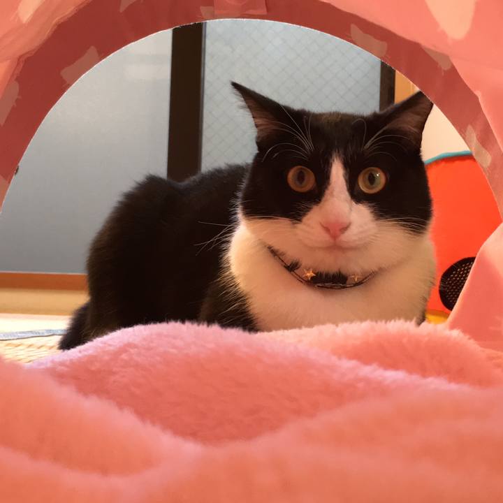 65bc9d5b 0429 4351 9cf6 bf30d49c19dd