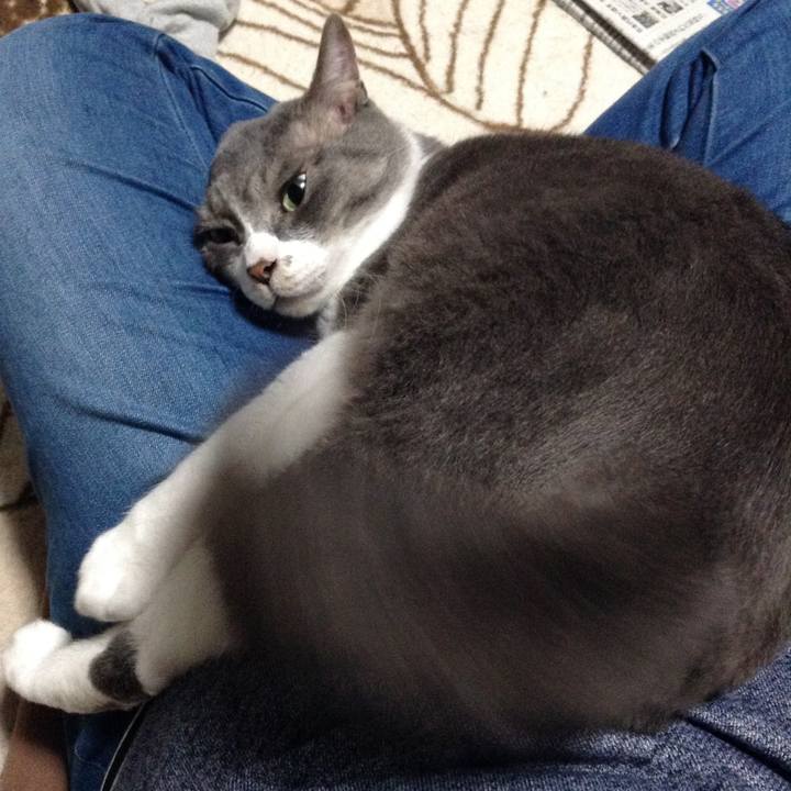 65bcab03 f89a 4157 b30e 8266f111a8c7