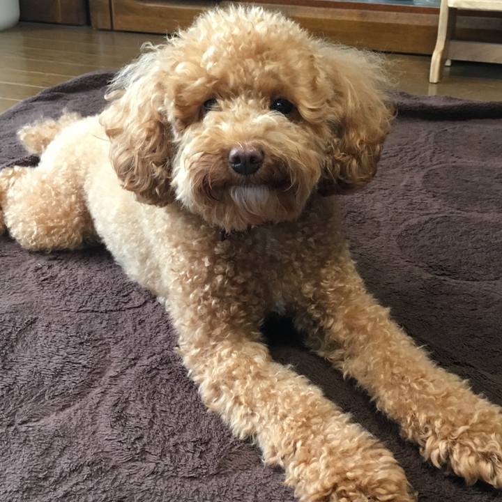 65bcad47 b0c7 4439 82e9 d208820e18b5