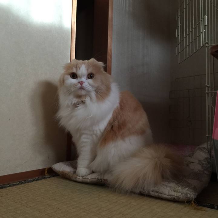 65bcd137 0f10 47ce b889 734585a67f7e