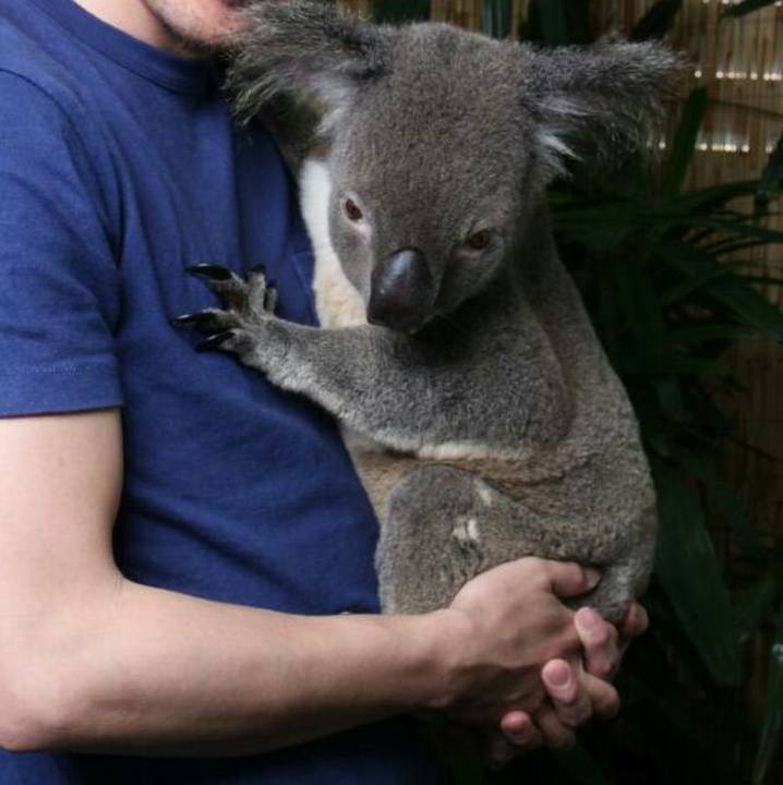 65bcfb8b d35b 4b43 9b1d 08f3dbce027d