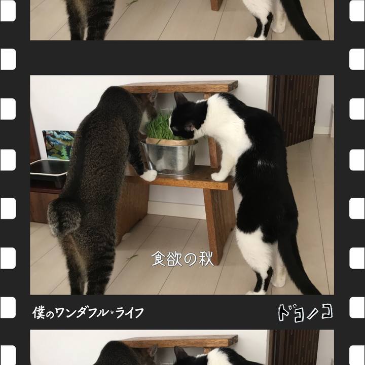 65bdbc82 d67a 4b00 9905 f8277744be04