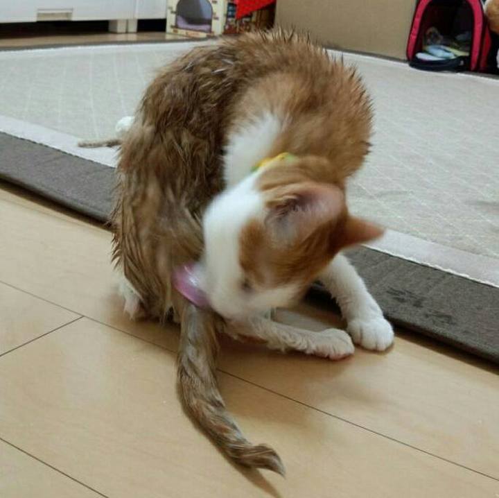 65bf19c6 05db 4001 9ef5 e3d5b8d99000