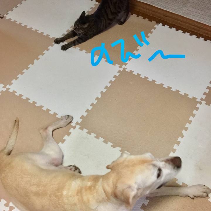 65bffc58 1903 4594 80e9 b6ddd2f3a6a5