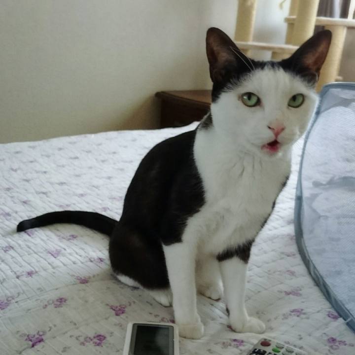 65c0d8d0 c031 4839 ac81 bb8f7c92d7a7