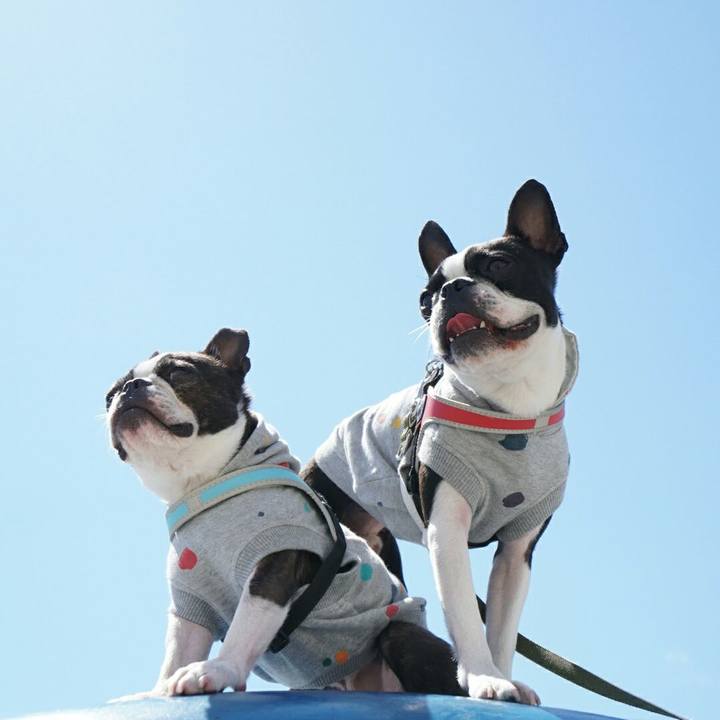 65c12cba 5b8e 42c0 94ac ed4c9d045d0f