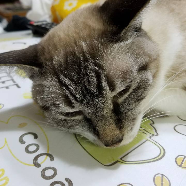 65c14eef 09b2 40c6 beed a787dcfa35c4