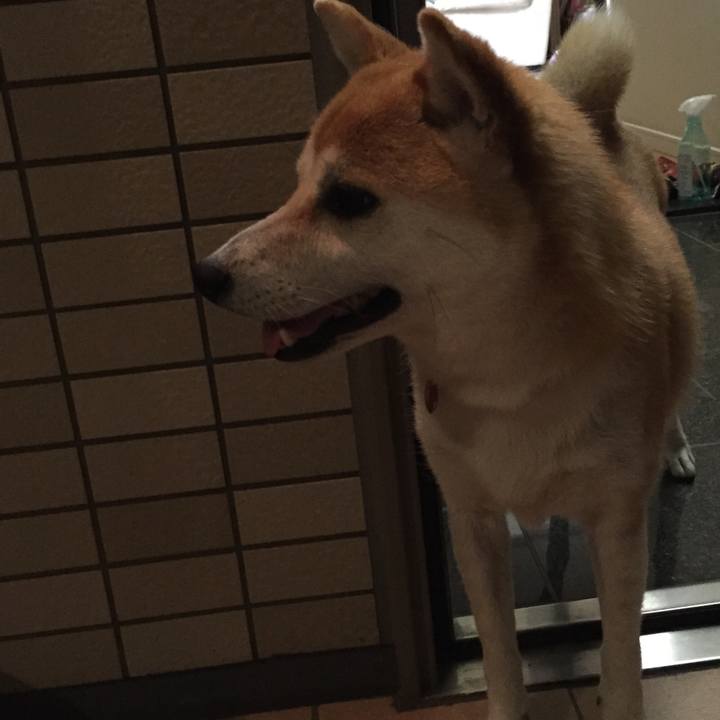 65c1ef50 9fda 423e 9793 f7c7fc8ad16f