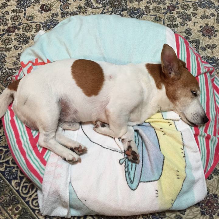 65c28aa9 1f80 460d 8b69 7c4737c6a30b