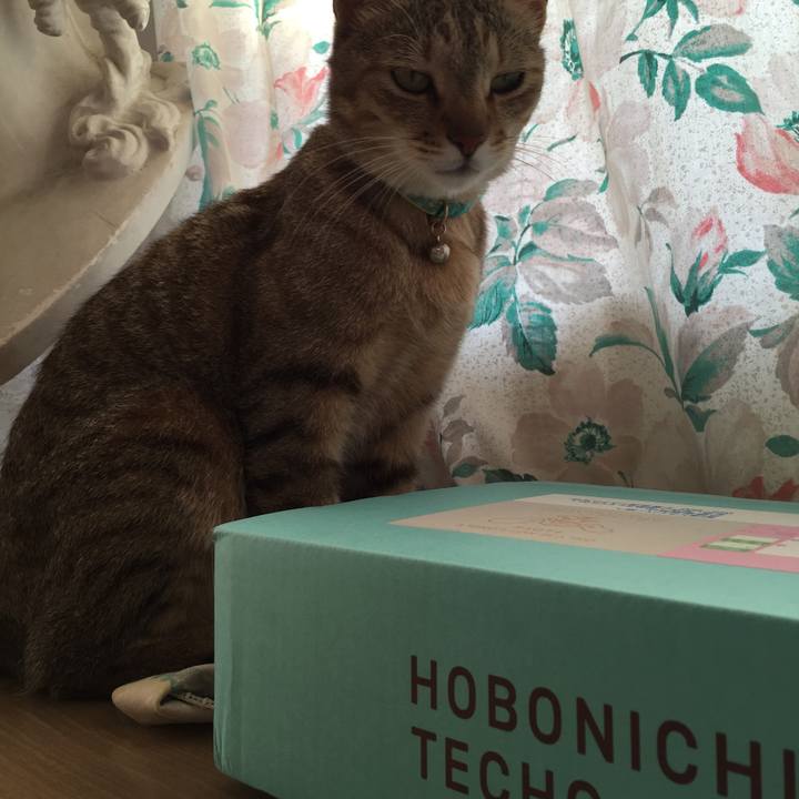 65c4834e e65b 4edc a3fe 7915832b6711