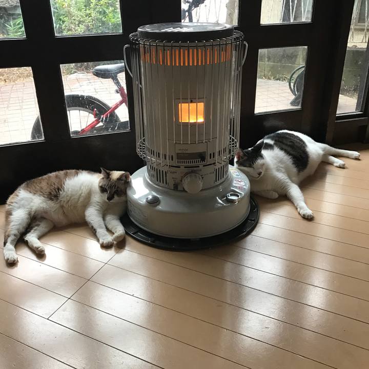 65c4f4f3 5bc7 40fd bf78 84c0e6be4028