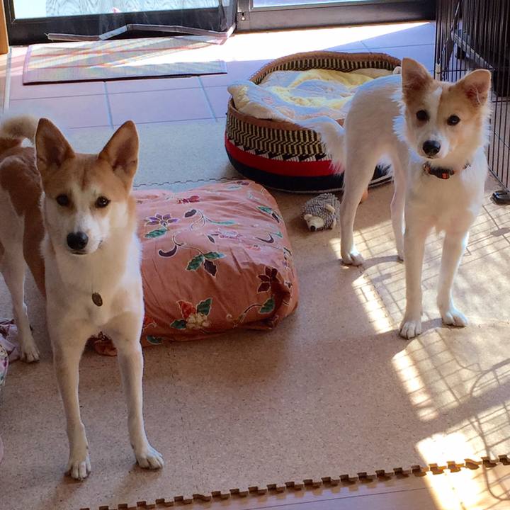 65c5b6ea 0741 4074 a7c1 6f17e78a2e75