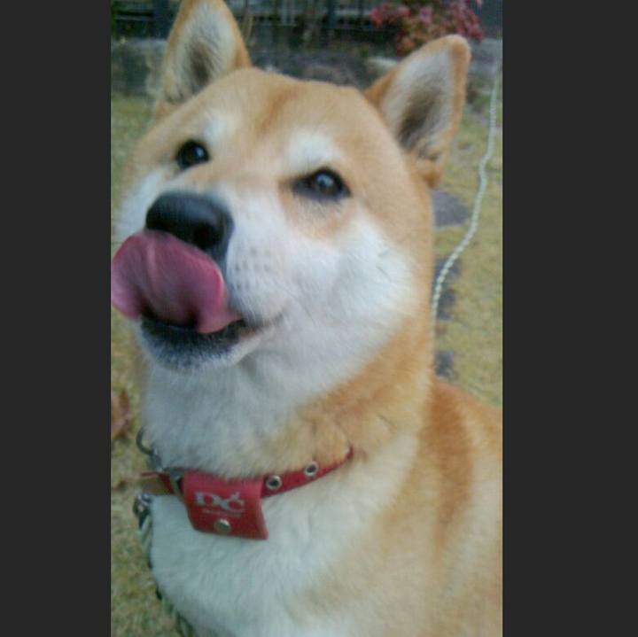 65c5ef11 6603 4fe5 8ff0 11c601797008