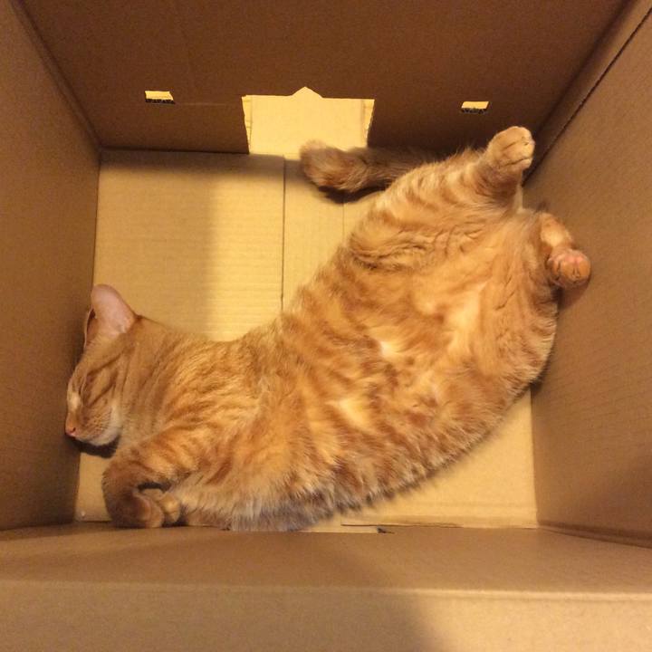 65c62092 ad0c 4e2c 88af 9ccd777ee6e3