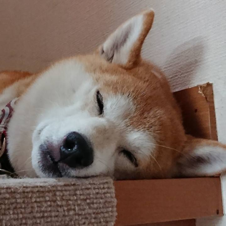 65c6cd14 7277 4e66 9ade 06d95a05bf34