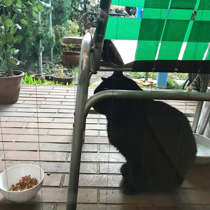 65c721ef 9f6b 4456 a433 5af70d37b39d