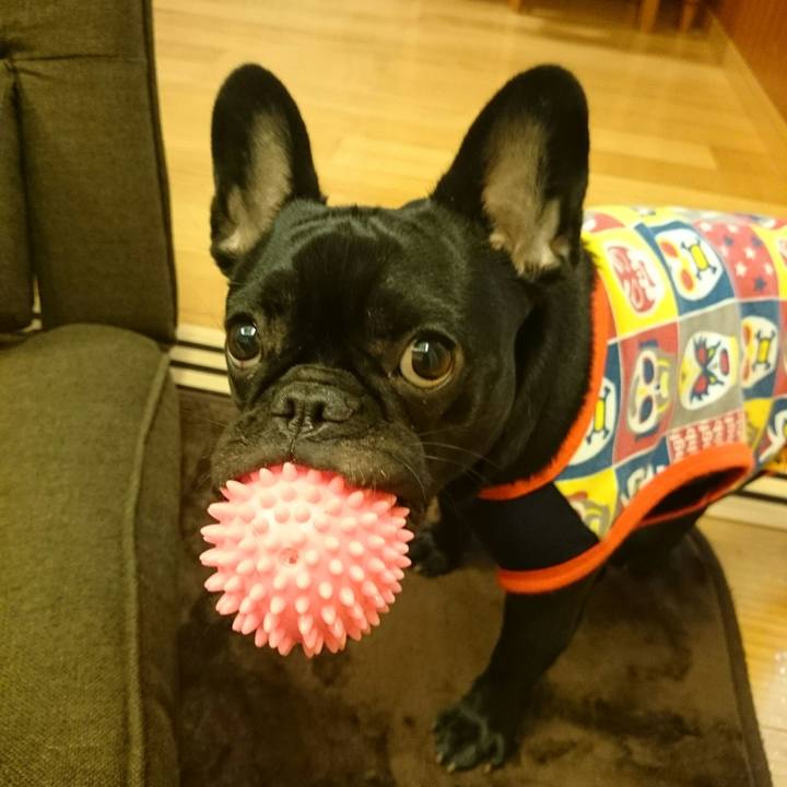 65c77eee 5542 406c 9237 d6b937ca4a65